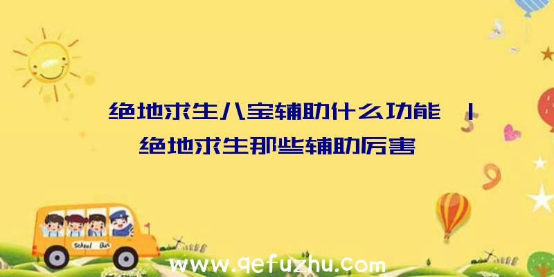 「绝地求生八宝辅助什么功能」|绝地求生那些辅助厉害